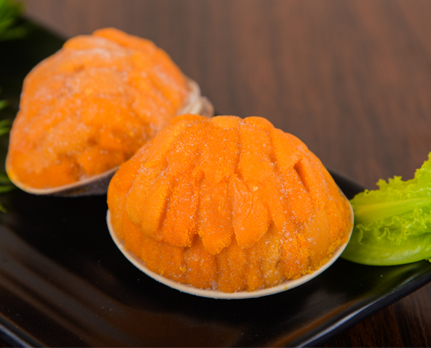 鲜冻贝壳马胆